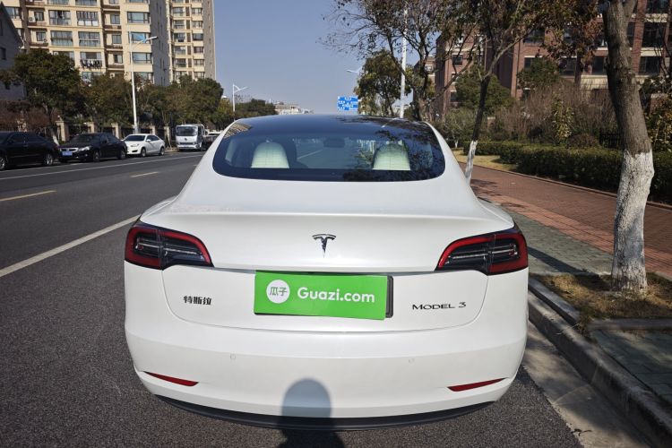 特斯拉 Model 3 2021款 改款 标准续航后驱升级版 3D1车身外观6005