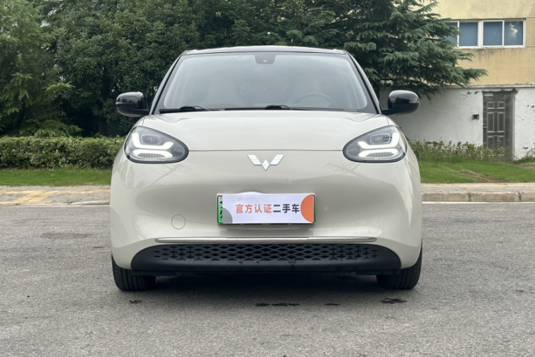 五菱汽车 五菱缤果 2023款 333km 悦享+款车身外观6003