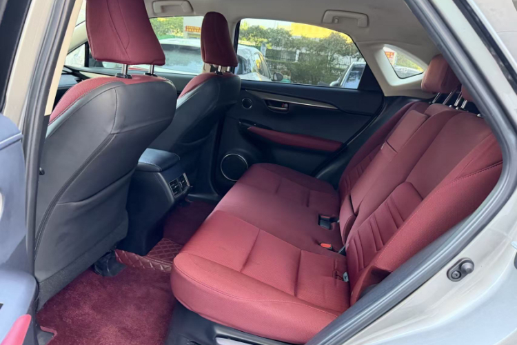 雷克萨斯NX 2020款 200 前驱 锋行版 国VI中控内饰7007