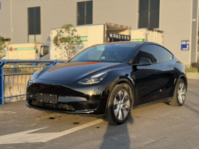 特斯拉 Model Y 2022款 后轮驱动版