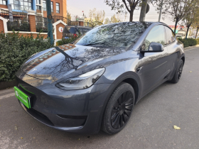 特斯拉 Model Y 2022款 后轮驱动版