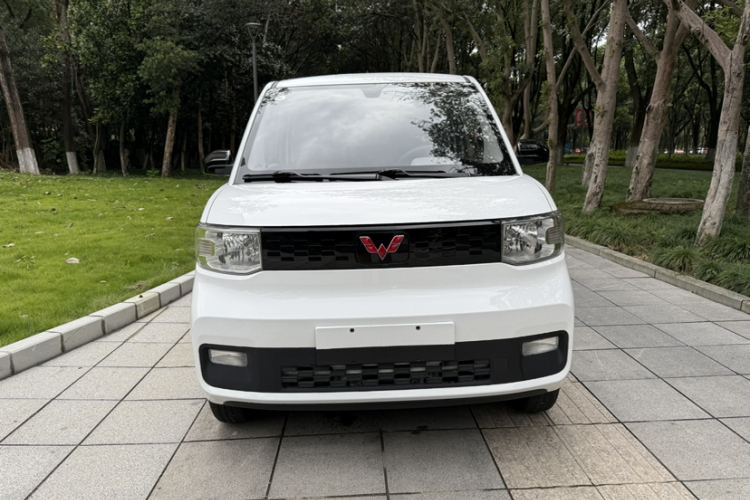 五菱汽车 宏光MINIEV 2022款 轻松款 磷酸铁锂车身外观6007