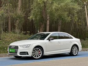 奥迪A4L 2018款 30周年年型 45 TFSI quattro 个性运动版