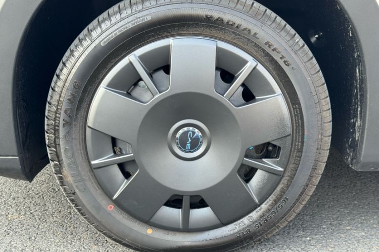 比亚迪 海鸥 2025款 智驾版 305km 活力版车身外观6005