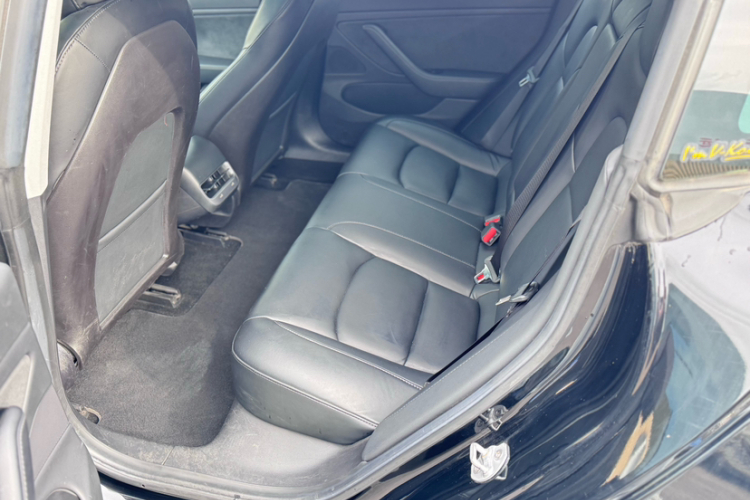 特斯拉 Model 3(进口) 2019款 长续航全轮驱动版中控内饰7003