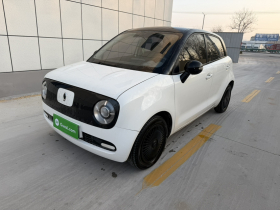 欧拉黑猫 2021款 301km 基础型