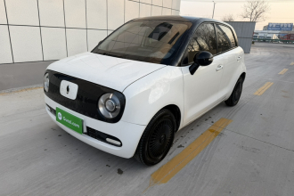 欧拉黑猫 2021款 301km 基础型