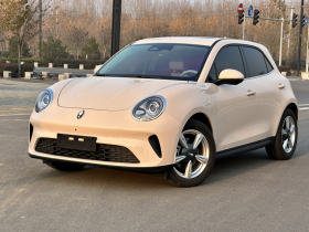 欧拉好猫 2025款 430km 尊荣型