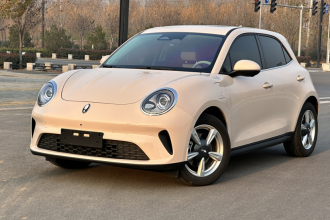 欧拉好猫 2025款 430km 尊荣型