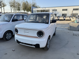 吉利银河 2024款 熊猫mini 200km 耐力熊