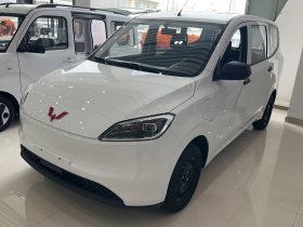 五菱汽车 五菱宏光新能源 2024款 纯电版 300KM 实用型