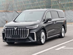 岚图汽车 岚图梦想家 2024款 PHEV 超长续航卓越版
