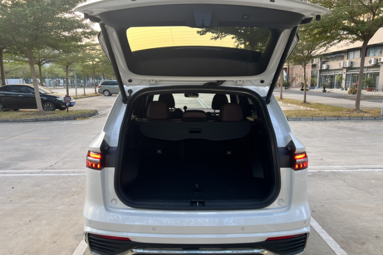 吉利汽车 星越L 2021款 2.0TD DCT EVO两驱智尊型局部细节23