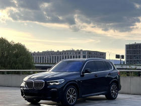 宝马X5(进口) 2021款 改款 xDrive30i M运动套装