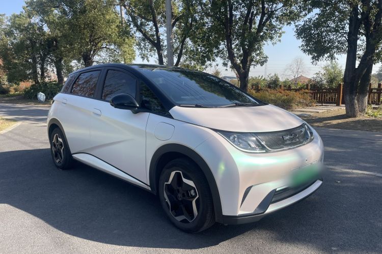 比亚迪 海豚 2021款 405km 时尚版车身外观6002