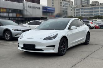 特斯拉 Model 3 2019款 标准续航后驱升级版