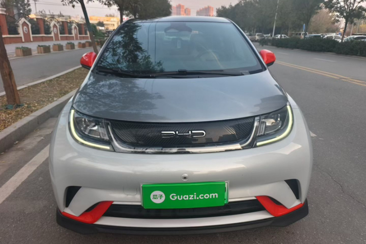 比亚迪 海豚 2021款 401km 骑士版车身外观6001