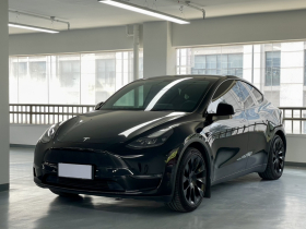 特斯拉 Model Y 2021款 长续航全轮驱动版 3D7