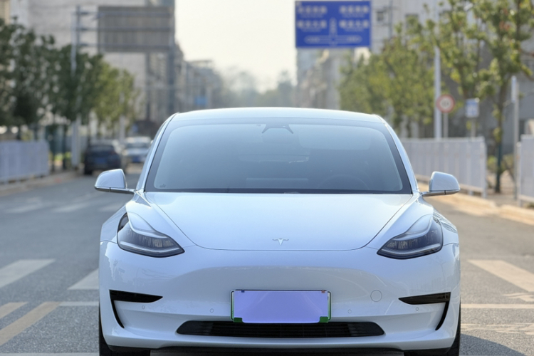 特斯拉 Model 3 2019款 标准续航后驱升级版车身外观6008