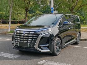 腾势D9 2024款 DM-i 980 四驱旗舰型