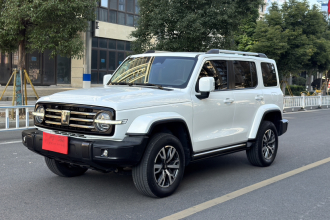 坦克300 2023款 城市版 2.0T 很有型