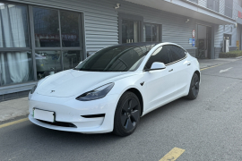 特斯拉 Model 3 2022款 后轮驱动版