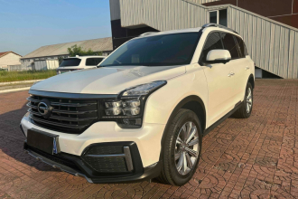 广汽传祺 传祺GS8 2020款 390T 两驱豪华智联纪念版（七座）