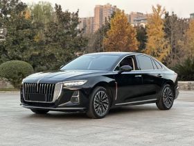 红旗H5 2024款 2.0T 自动智联旗畅版