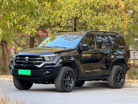 坦克400新能源 2024款 Hi4-T 城市版