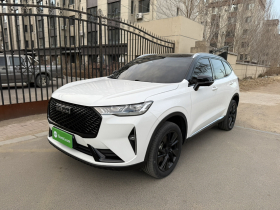 哈弗H6 2021款 第三代 2.0T 自动两驱Max