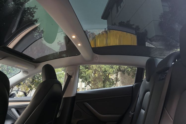 特斯拉 Model 3 2021款 标准续航后驱升级版 3D6局部细节22