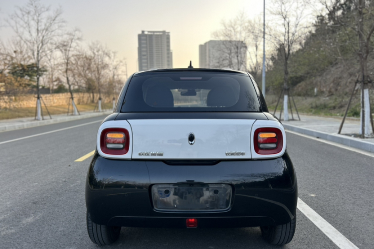 欧拉黑猫 2021款 301km 基础型车身外观6005