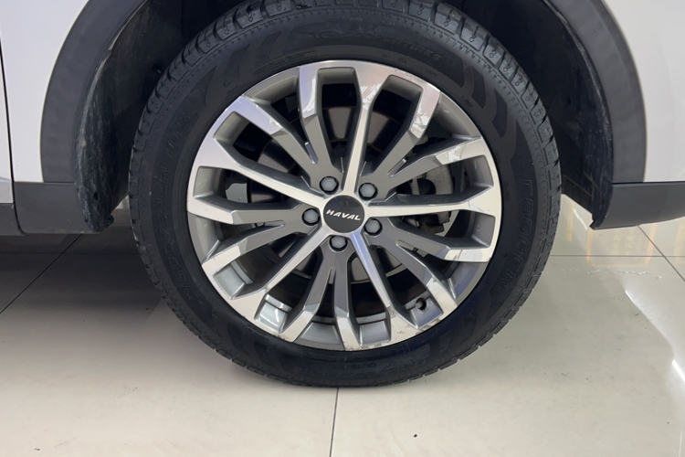 哈弗H6 2020款 1.5GDIT 自动铂金冠军版车身外观6003