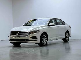 大众 朗逸 2024款 300TSI DSG满逸版