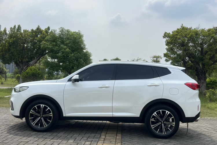 魏牌 VV6 2021款 2.0T 两驱智护+车身外观6009