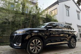 星途揽月 2023款 400T 两驱星睿版 6座