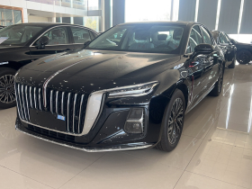 红旗H5 2024款 2.0T 自动智联旗畅版