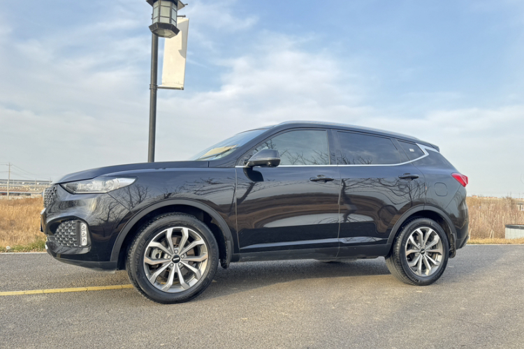 魏牌 VV6 2020款 2.0T 两驱智享+车身外观6005