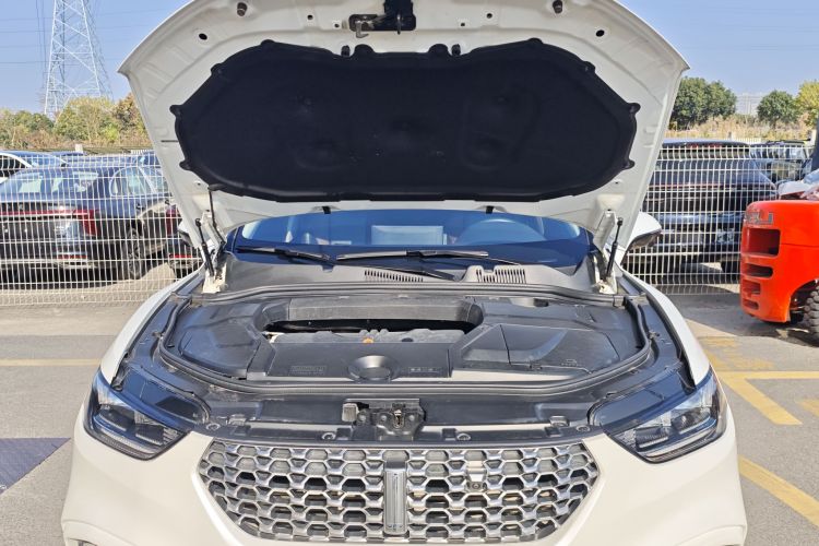 魏牌 VV5 2021款 1.5T 两驱智先锋局部细节24