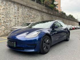 特斯拉 Model 3 2021款 标准续航后驱升级版