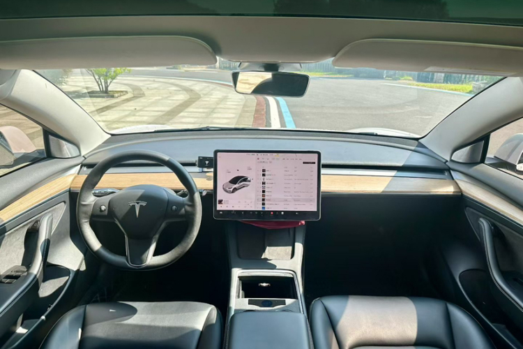 特斯拉 Model 3 2021款 标准续航后驱升级版 3D6中控内饰7001