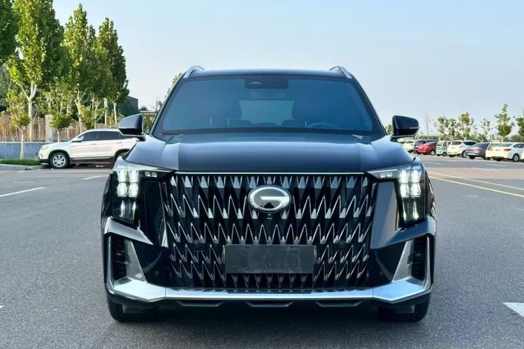 广汽传祺 传祺GS8 2022款 双擎系列 2.0TM 两驱尊贵版 （六座）车身外观6002