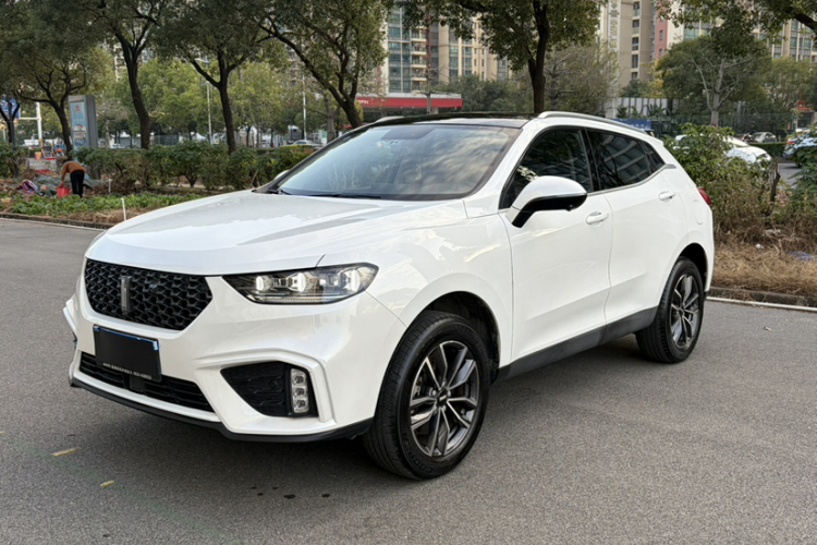 魏牌 VV5 2020款 1.5T 两驱智先锋车身外观6004