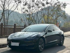 特斯拉 Model 3 2020款 改款 长续航后轮驱动版