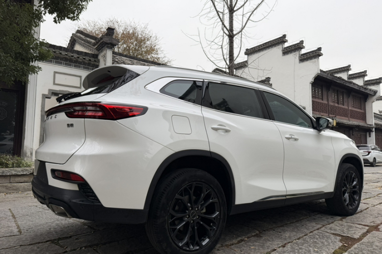 星途TX 2020款 1.6T 两驱星尚版车身外观6007