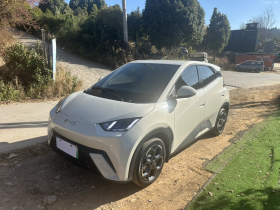 比亚迪 海鸥 2025款 305km 自由版