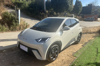 比亚迪 海鸥 2025款 305km 自由版