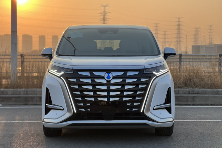 腾势D9 2022款 DM-i 970 四驱旗舰型车身外观6004