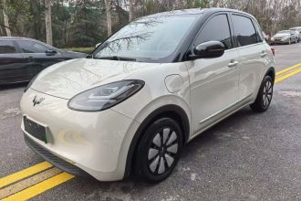 五菱汽车 五菱缤果 2023款 333km 灵犀互联款