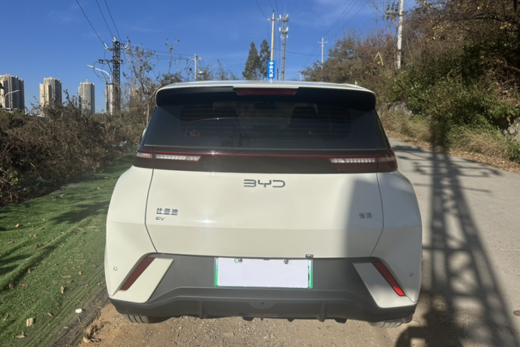 比亚迪 海鸥 2025款 305km 自由版车身外观6009